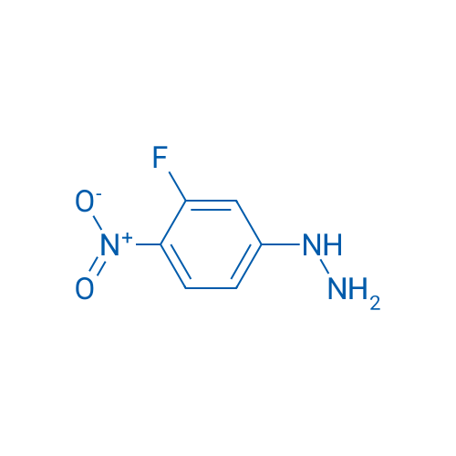 (3-Fluoro-4-nitrophenyl)hydrazine 1g