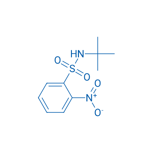 N-(tert-Butyl)-2-nitrobenzenesulfonamide 25g