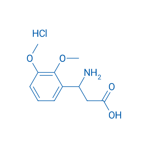 3-Amino-3-(2,3-dimethoxyphenyl)propanoic acid hydrochloride 1g