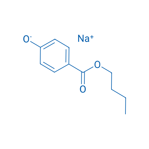 Butylparaben sodium 500g