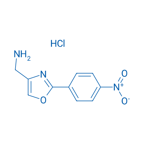 (2-(4-Nitrophenyl)oxazol-4-yl)methanamine hydrochloride 1g