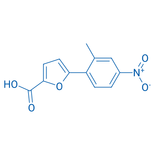 5-(2-Methyl-4-nitrophenyl)furan-2-carboxylic acid 1g
