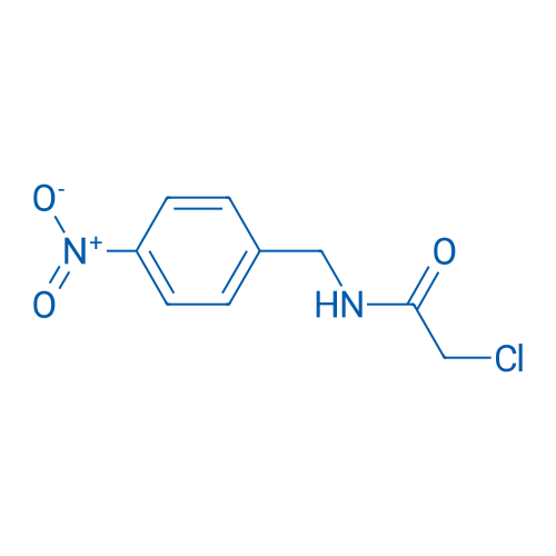 2-Chloro-N-(4-nitrobenzyl)acetamide 1g