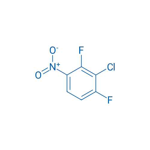 3-Chloro-2,4-difluoronitrobenzene 10g