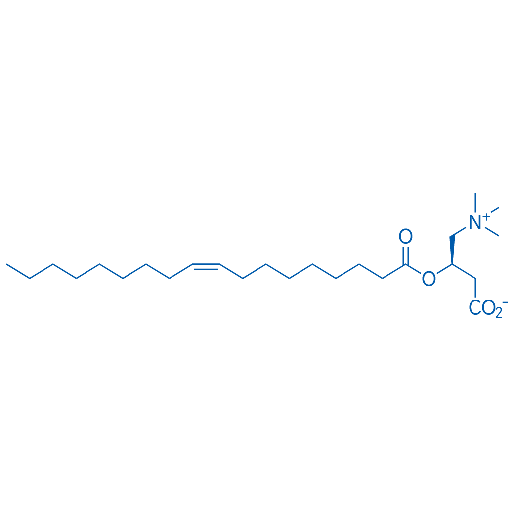 Oleoylcarnitine 50mg
