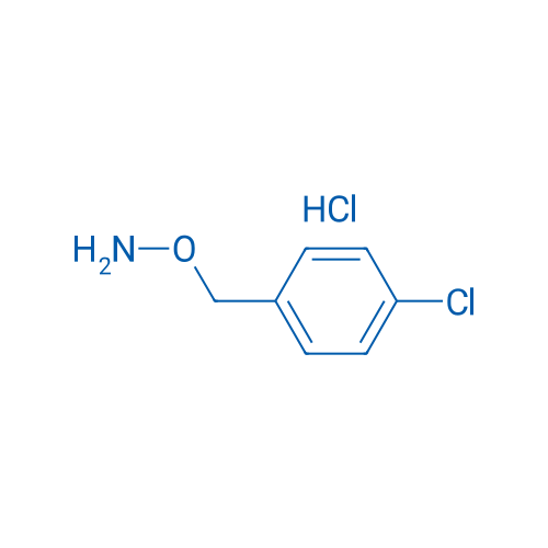 1-[(Aminooxy)methyl]-4-chlorobenzene HCl 10g