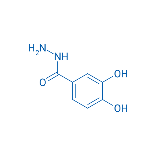 3,4-Dihydroxybenzohydrazide 25g