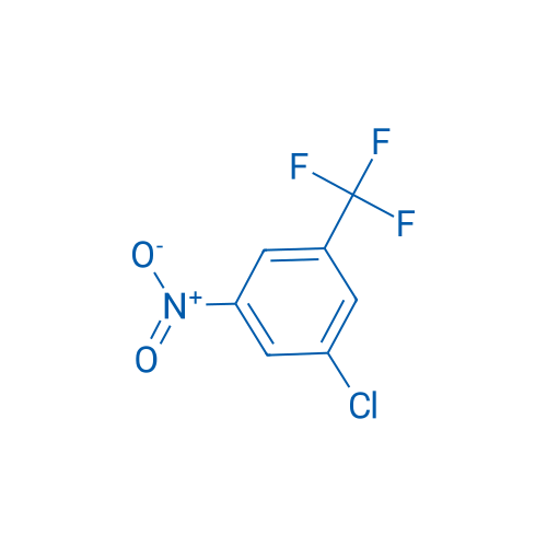 1-Chloro-3-nitro-5-(trifluoromethyl)benzene 10g