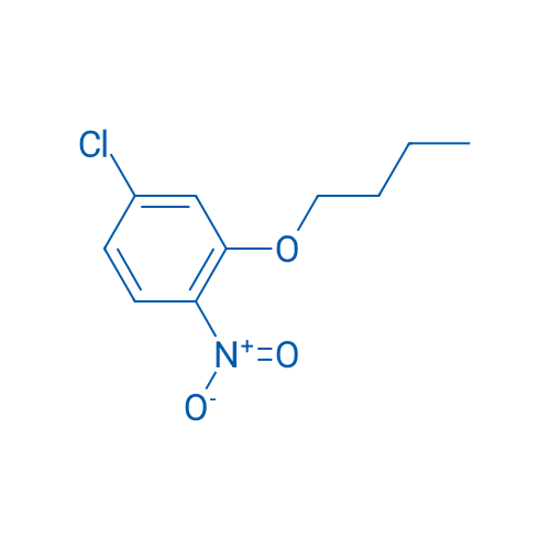 2-BUtoxy-4-chloro-1-nitrobenzene 1g