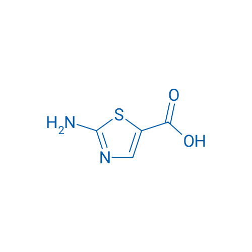 2-Aminothiazole-5-carboxylic acid 10g