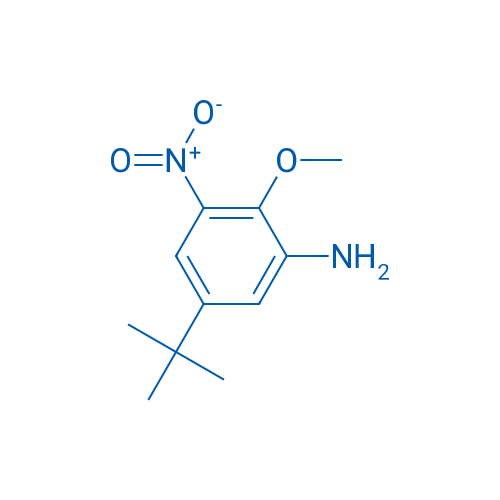 5-(tert-Butyl)-2-methoxy-3-nitroaniline 250mg