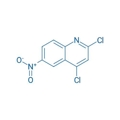 2,4-Dichloro-6-nitroquinoline 100mg