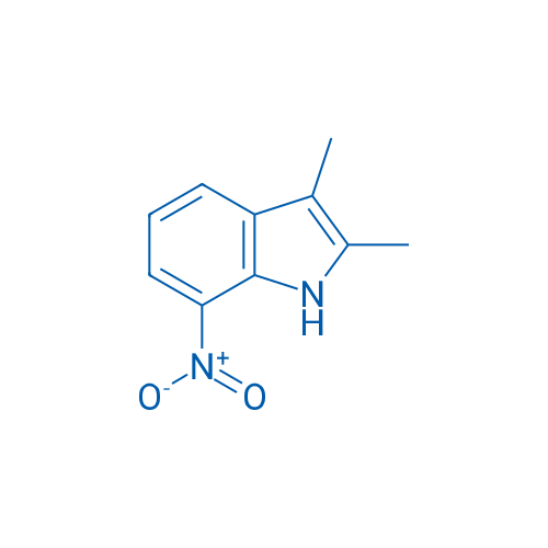 2,3-Dimethyl-7-nitro-1H-indole 250mg