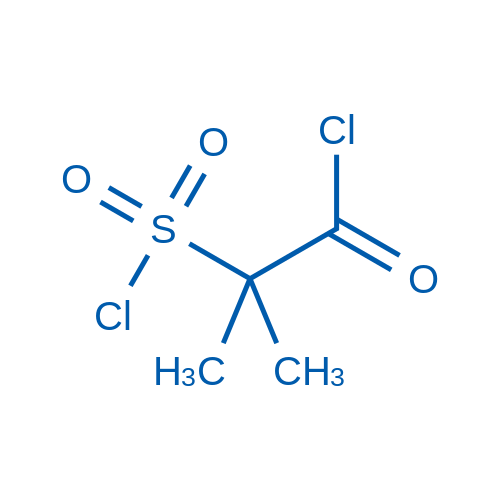 2-(Chlorosulfonyl)-2-methylpropanoyl chloride 1g