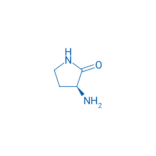(S)-3-Aminopyrrolidin-2-one 100mg