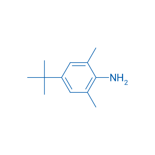 4-(tert-Butyl)-2,6-dimethylaniline 10g