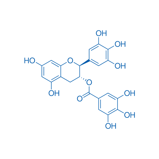 (-)-Gallocatechin gallate 25mg