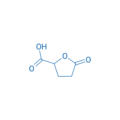 5-Oxotetrahydrofuran-2-carboxylic acid 250mg