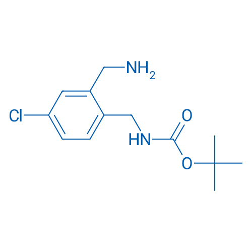 tert-Butyl 2-(aminomethyl)-4-chlorobenzylcarbamate 1g