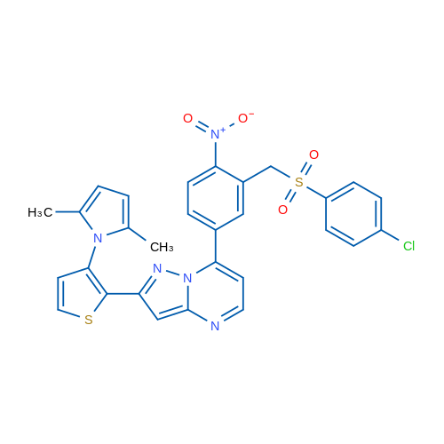 1-[2-(7-{3-[(4-chlorobenzenesulfonyl)methyl]-4-nitrophenyl}pyrazolo[1,5-a]pyrimidin-2-yl)thiophen-3-yl]-2,5-dimethyl-1H-pyrrole 1g