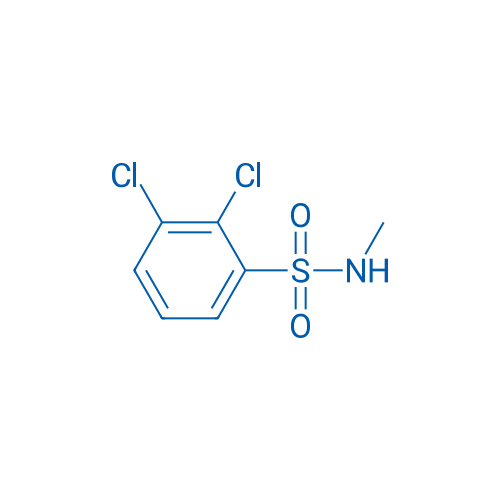2,3-Dichloro-n-methylbenzene-1-sulfonamide 1g