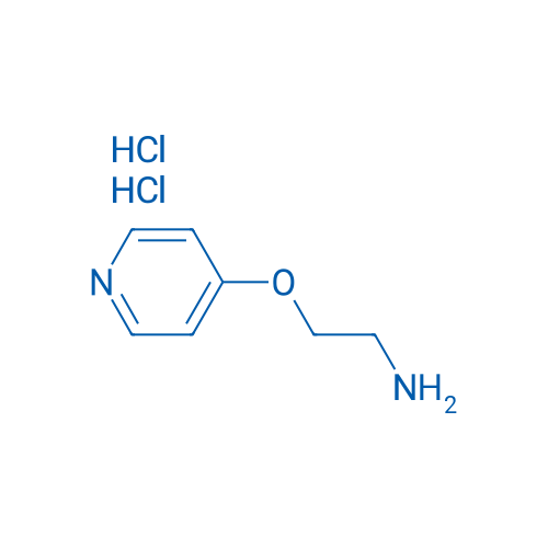 2-(Pyridin-4-yloxy)ethanamine dihydrochloride 1g