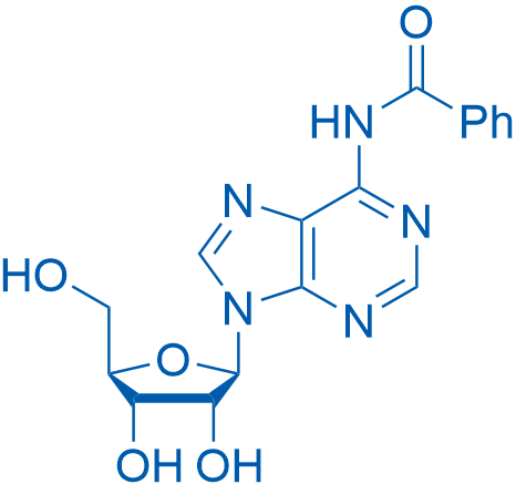 N6-Benzoyladenosine 10g