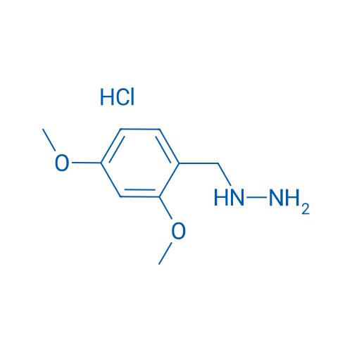 (2,4-Dimethoxybenzyl)hydrazine hydrochloride 5g