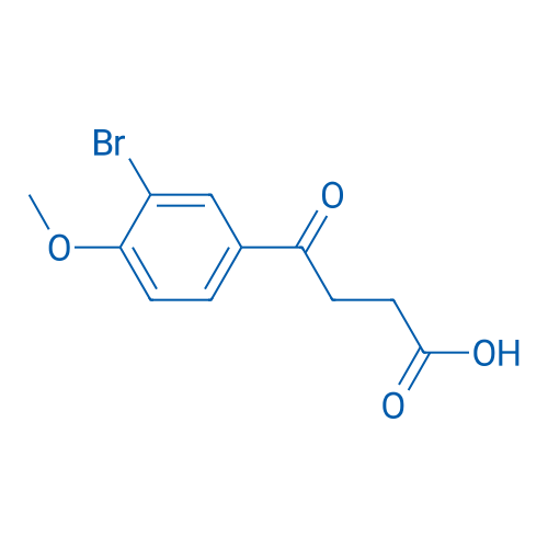 4-(3-Bromo-4-methoxyphenyl)-4-oxobutanoic acid 1g