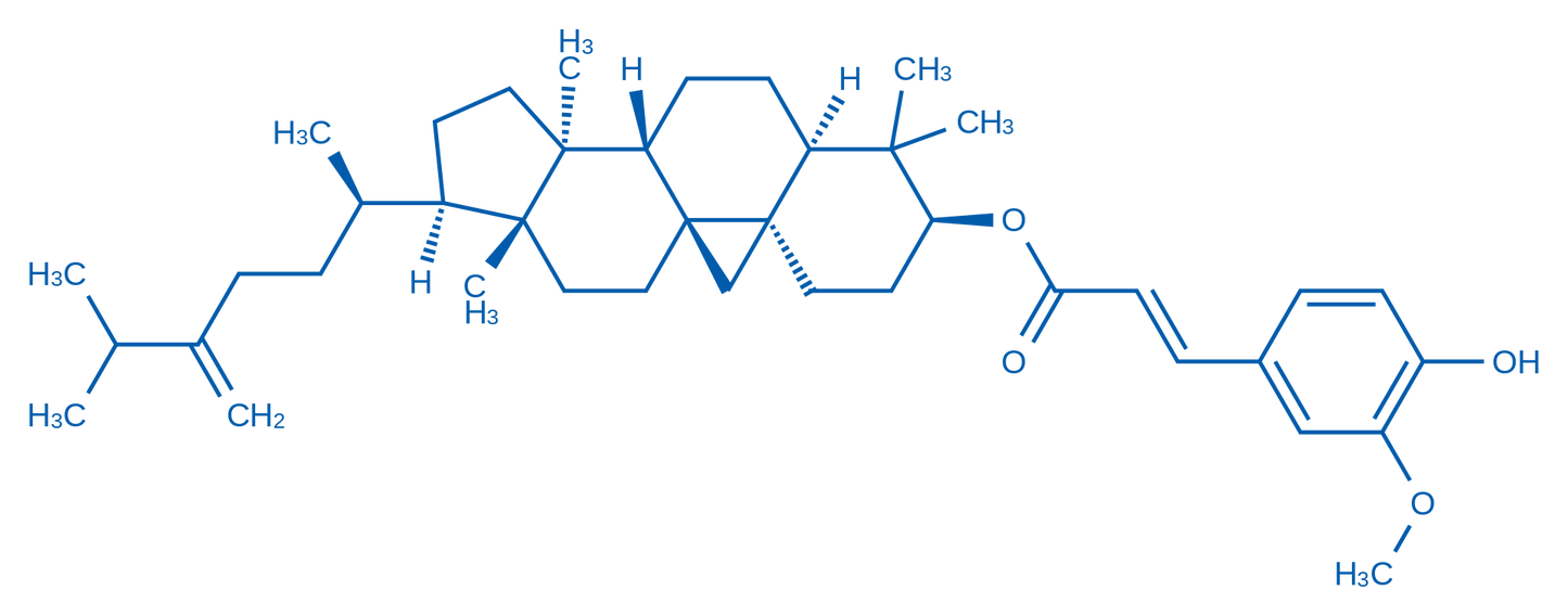 24-Methylenecycloartanyl ferulate 10mg