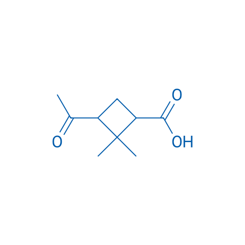 3-Acetyl-2,2-dimethylcyclobutane-1-carboxylic acid 1g