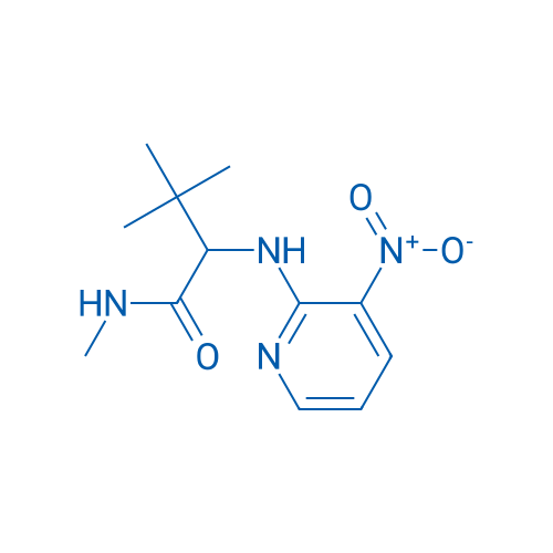 N,3,3-Trimethyl-2-[(3-nitropyridin-2-yl)amino]butanamide 1g