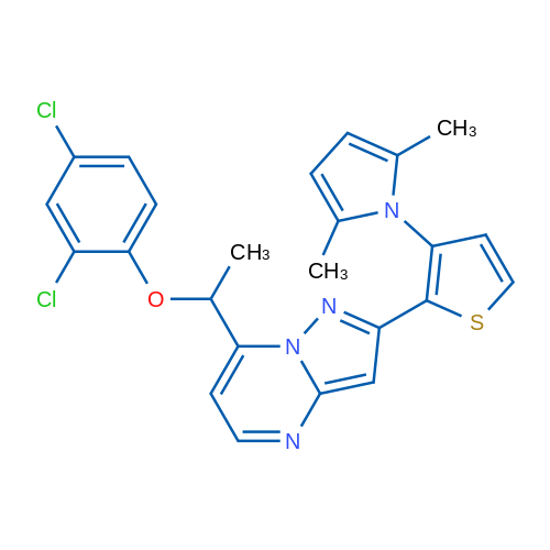 1-(2-{7-[1-(2,4-dichlorophenoxy)ethyl]pyrazolo[1,5-a]pyrimidin-2-yl}thiophen-3-yl)-2,5-dimethyl-1H-pyrrole 1g