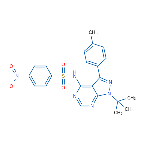 N-[1-tert-Butyl-3-(4-methylphenyl)-1H-pyrazolo[3,4-d]pyrimidin-4-yl]-4-nitrobenzene-1-sulfonamide 1g