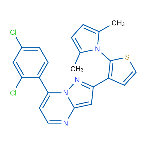 1-{3-[7-(2,4-dichlorophenyl)pyrazolo[1,5-a]pyrimidin-2-yl]thiophen-2-yl}-2,5-dimethyl-1H-pyrrole 1g