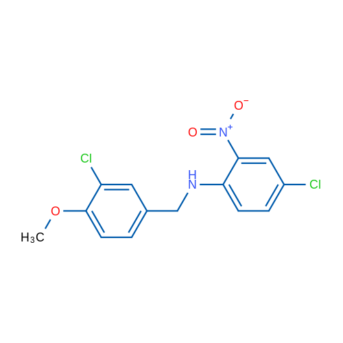 4-Chloro-N-[(3-chloro-4-methoxyphenyl)methyl]-2-nitroaniline 1g