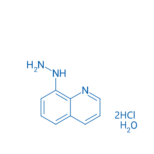 8-Hydrazinoquinoline dihydrochloride hydrate 1g