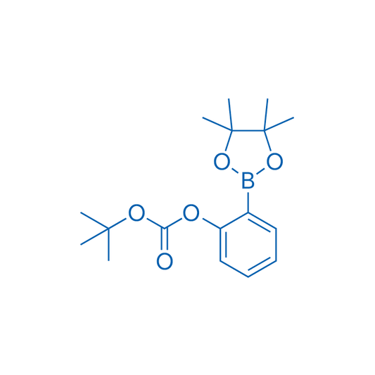 tert-Butyl (2-(4,4,5,5-tetramethyl-1,3,2-dioxaborolan-2-yl)phenyl) carbonate 250mg