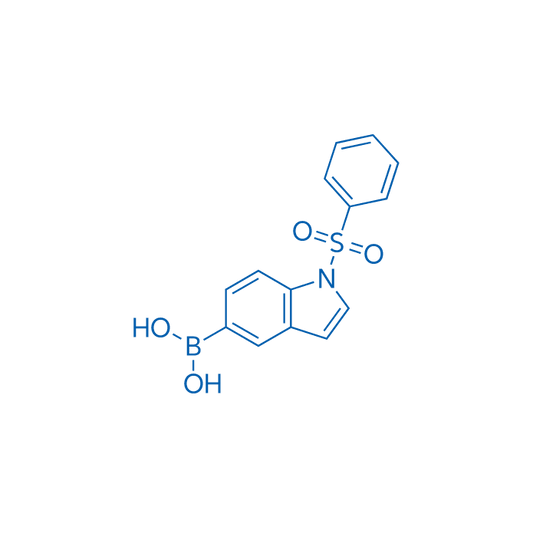 (1-(Phenylsulfonyl)-1H-indol-5-yl)boronic acid 1g