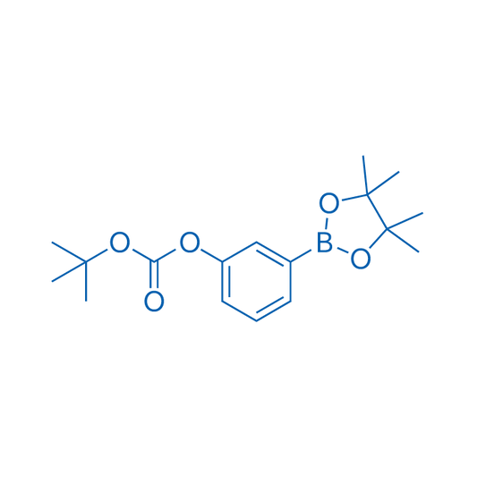 tert-Butyl (3-(4,4,5,5-tetramethyl-1,3,2-dioxaborolan-2-yl)phenyl) carbonate 5g