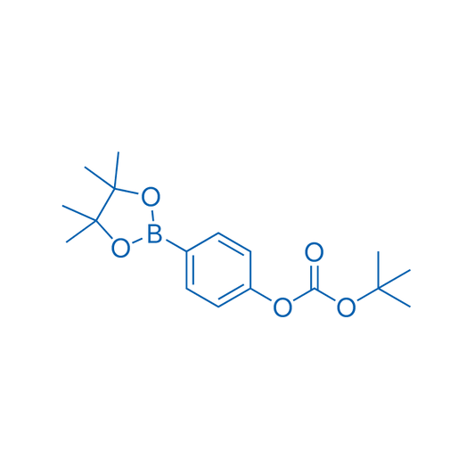 tert-Butyl (4-(4,4,5,5-tetramethyl-1,3,2-dioxaborolan-2-yl)phenyl) carbonate 250mg