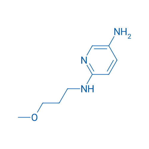 N2-(3-Methoxypropyl)pyridine-2,5-diamine 1g