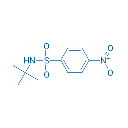 N-tert-Butyl 4-Nitrophenylsulfonamide 1g