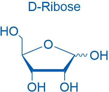 D-(-)-Ribose 500g