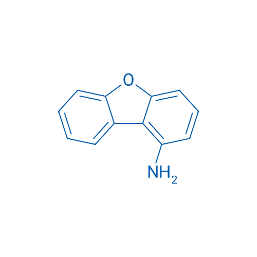 Dibenzo[b,d]furan-1-amine 100g