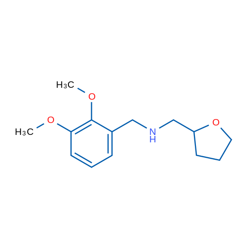 N-(2,3-Dimethoxybenzyl)-1-(tetrahydrofuran-2-yl)methanamine 1g