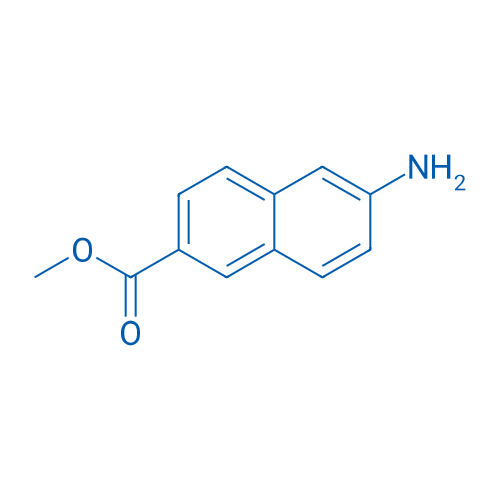 Methyl 6-amino-2-naphthoate 25g
