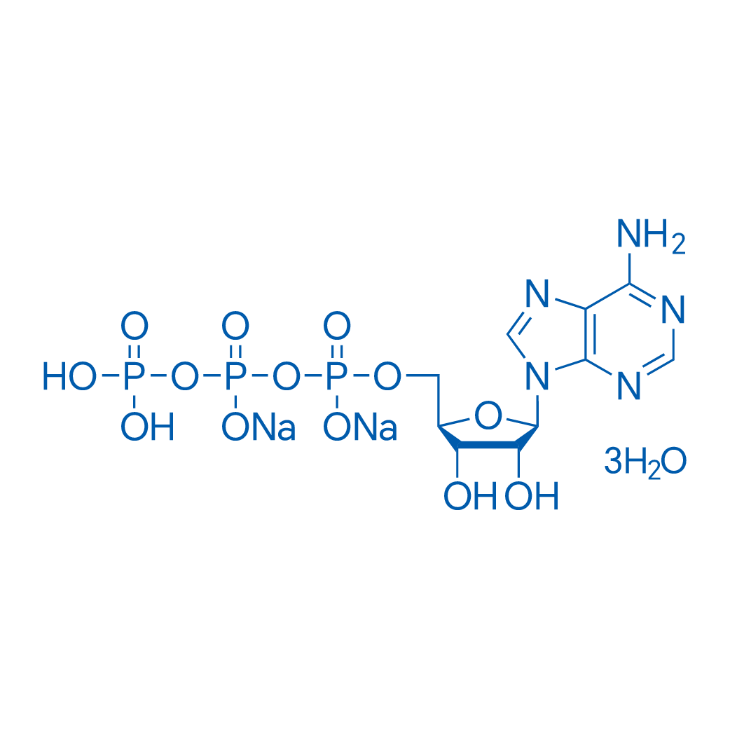ATP disodium trihydrate 25g