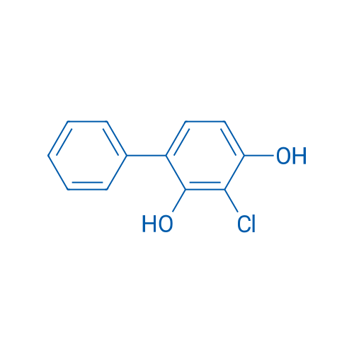 3-Chloro-[1,1'-biphenyl]-2,4-diol 1g