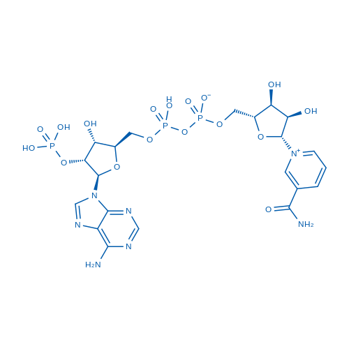 Nicotinamide adenine dinucleotide phosphate 25g